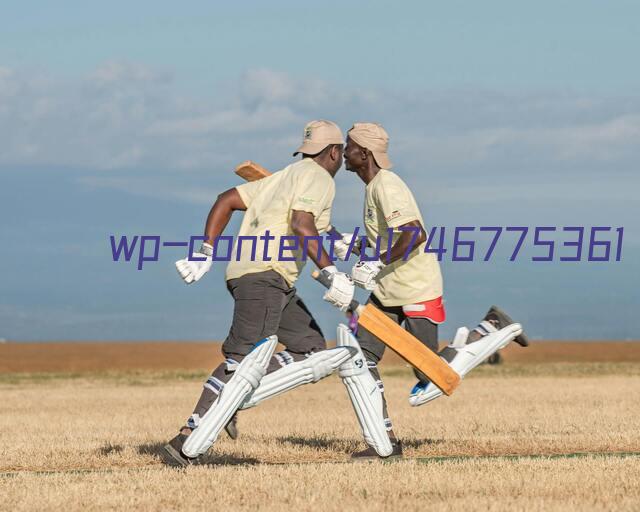 SWF型三國彈簧平衡器